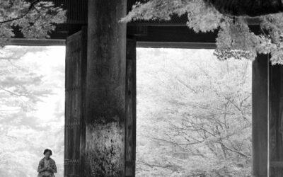 eventi fotografici Fucecchio