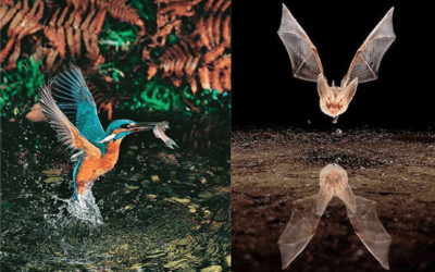 eventi fotografici Fucecchio