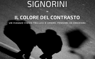 PIERO SIGNORINI – Il colore del Contrasto